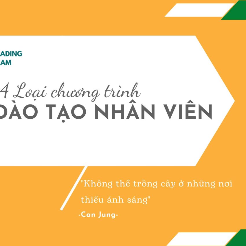 14 Loại Chương Trình Đào Tạo Nhân Viên Hiệu Quả Nhất Năm 2024