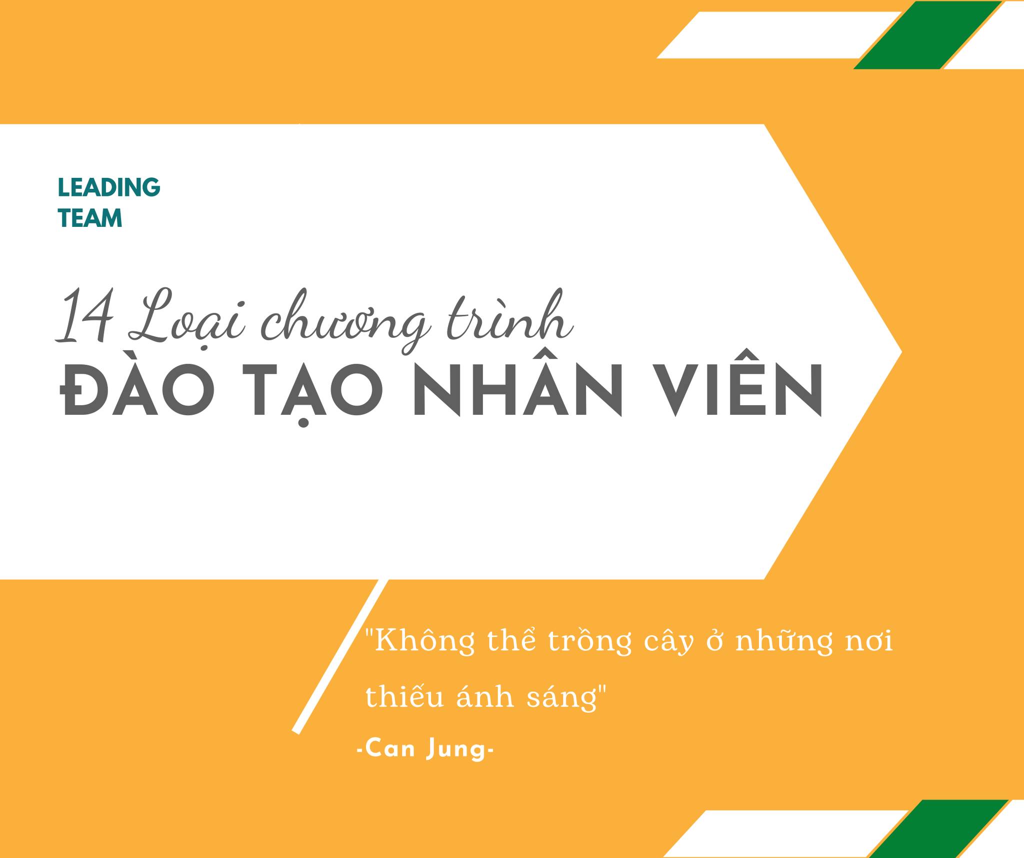 14 Loại Chương Trình Đào Tạo Nhân Viên Hiệu Quả Nhất Năm 2024